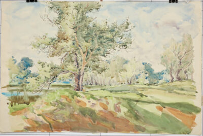 Green grove