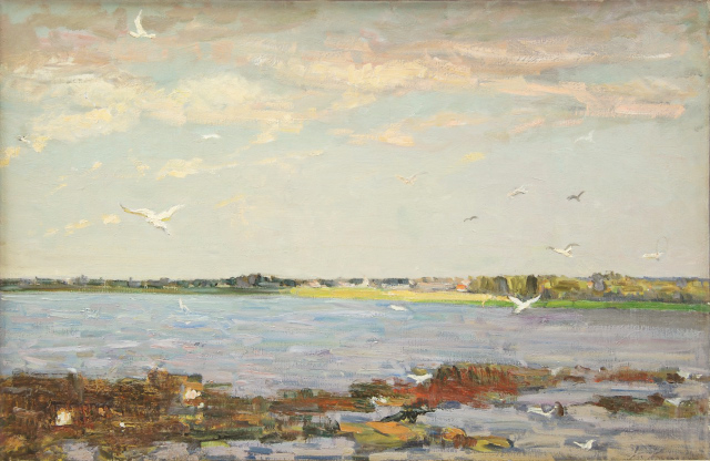 Чайки