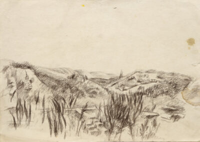 Drawing for the diploma painting “Olbia. At the spring”