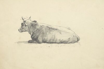 Корова. Начерк