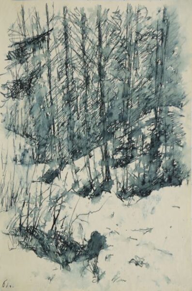In the forest in winter