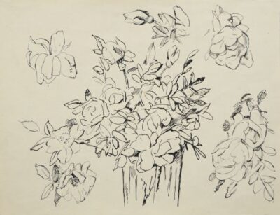 Flowers. Sketch